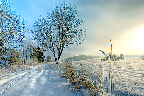 Foto von Peter Hennig PIXELWERKSTATT Winterlandschaft bei Oppach